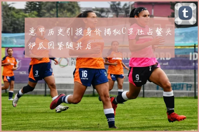 意甲历史引援身价揭秘C罗独占鳌头伊瓜因紧随其后
